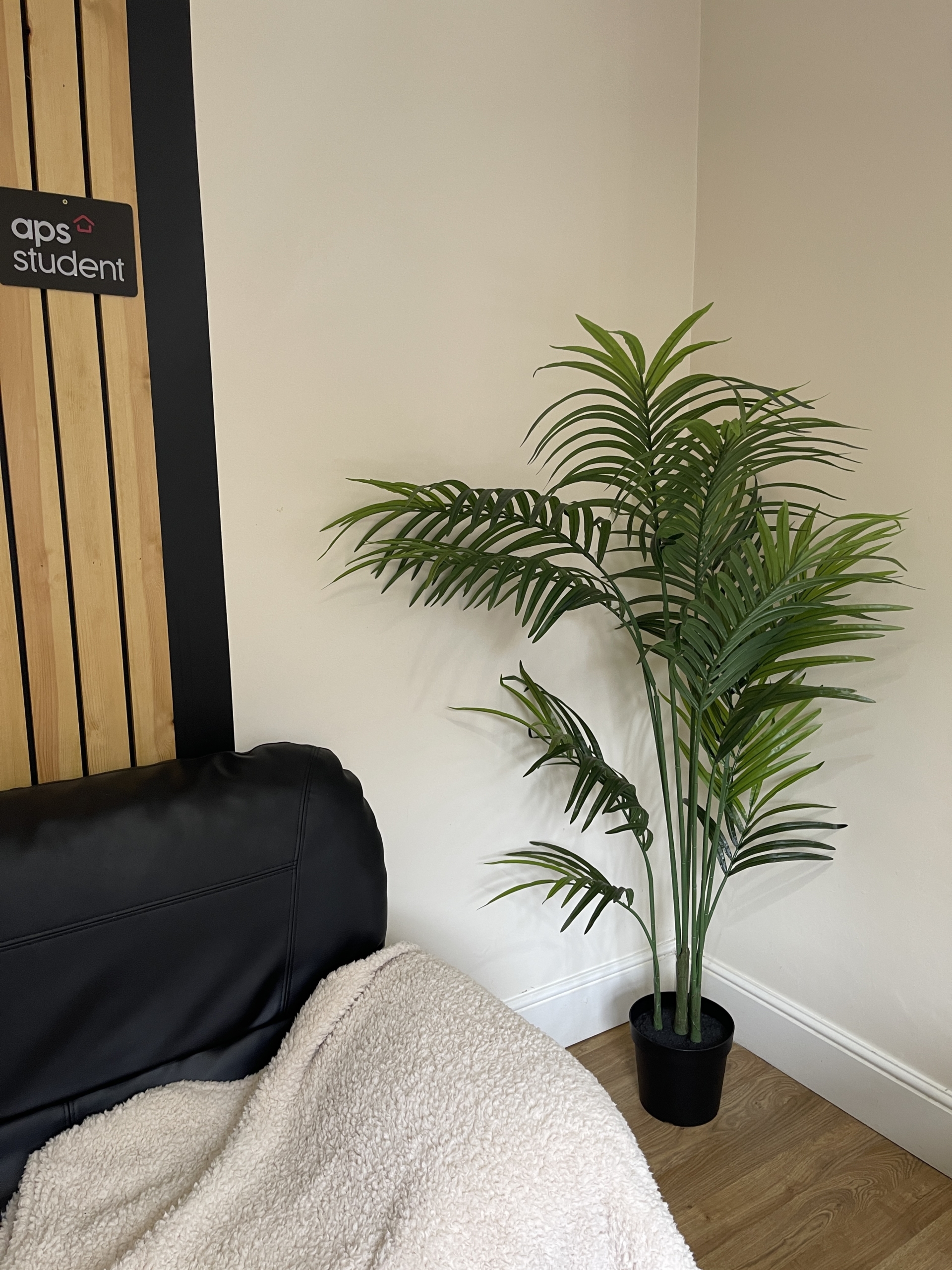 36b Portland St Lincoln student house accommodation