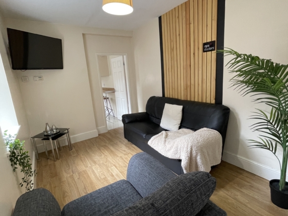 36b Portland St Lincoln student house accommodation - lounge